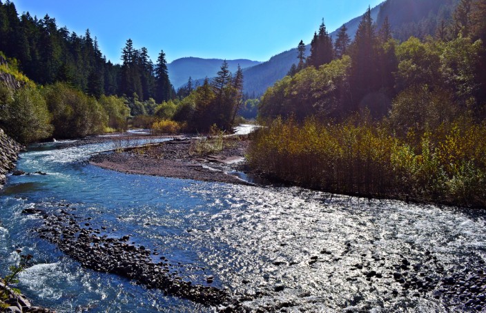 White River in Mt. Rainier National Park